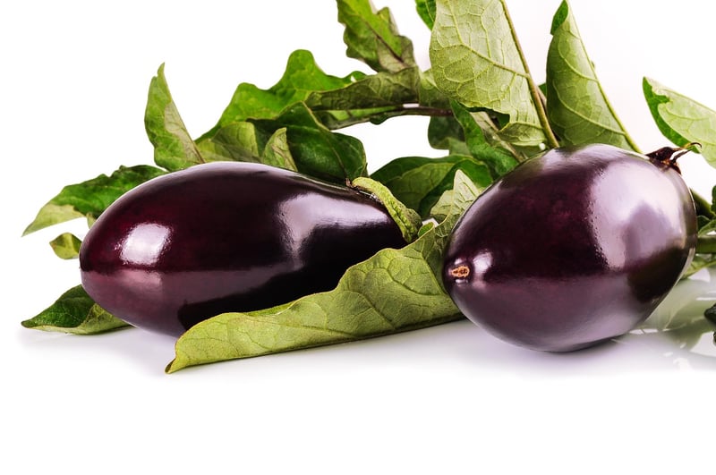 Edible Gardening