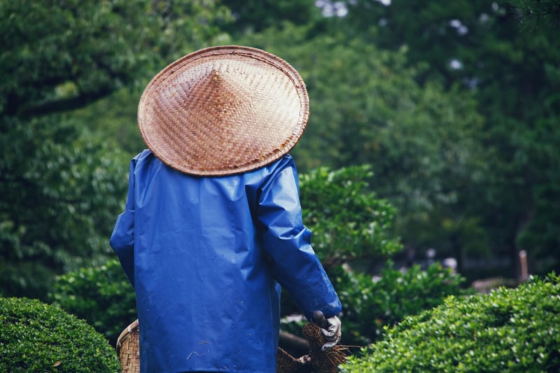 Gardening Club